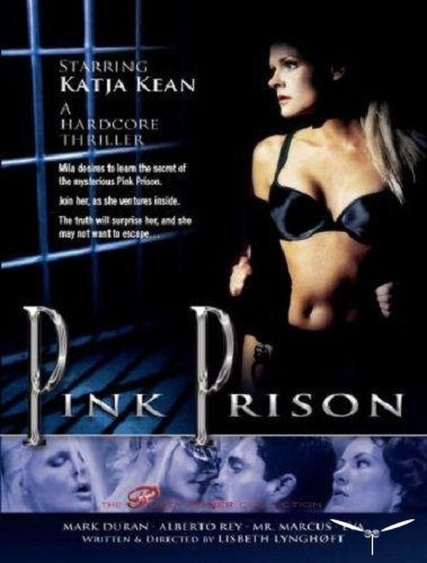 Розовая тюрьма (1999) постер