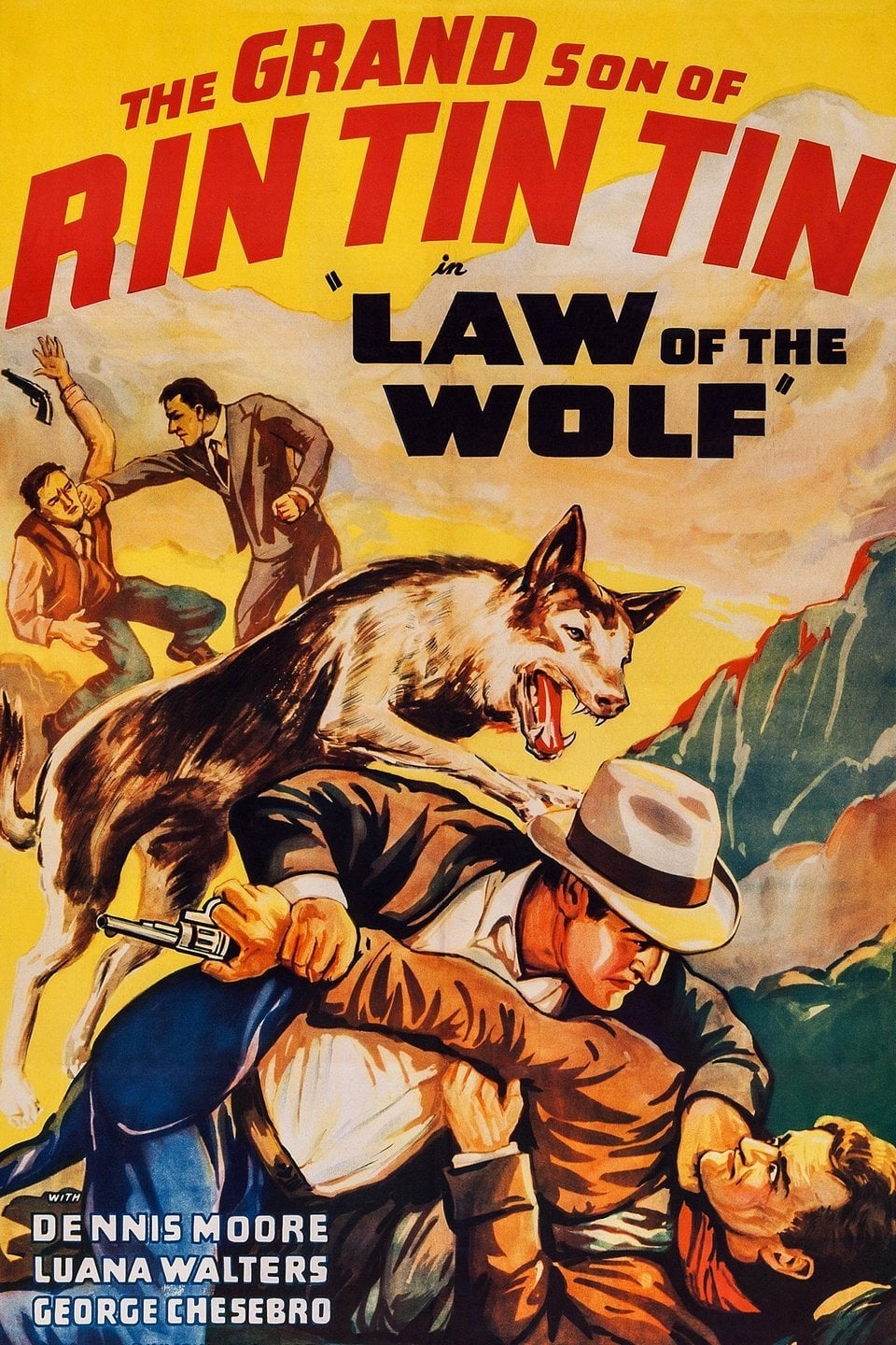 Law of the Wolf (1939) постер