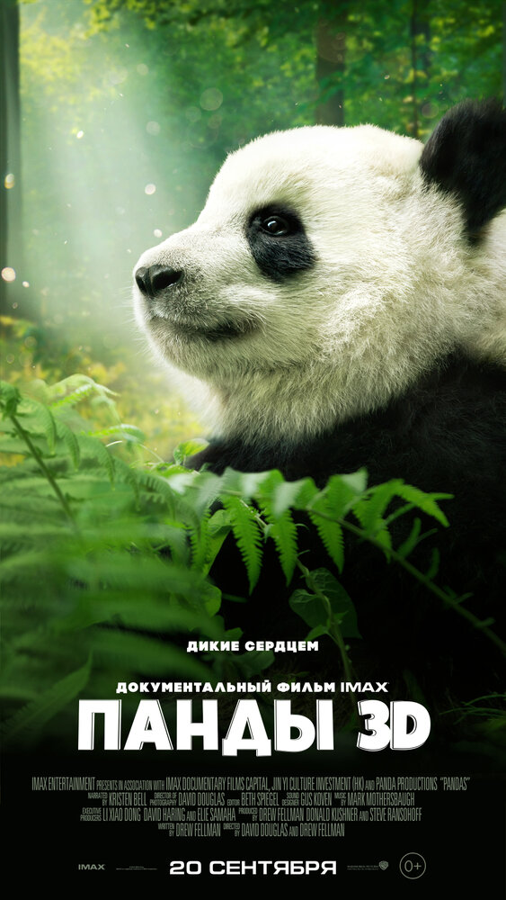 Панды 3D (2018) постер