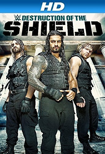 Journey to SummerSlam: The Destruction of the Shield (2014) постер