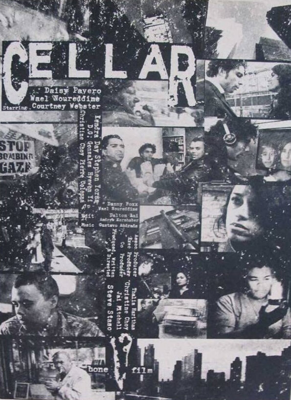 Cellar (2010) постер