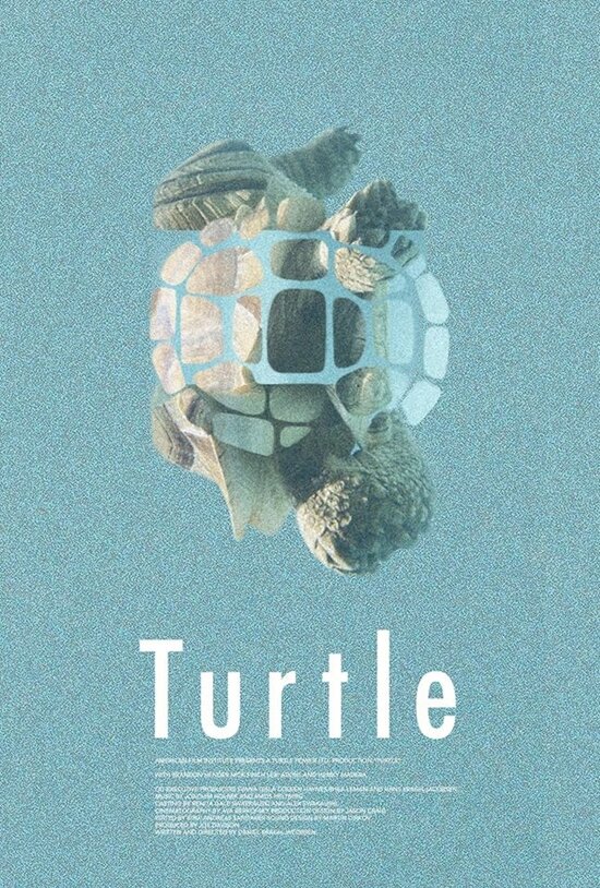 Черепаха (2014) постер