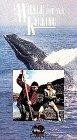 A Whale for the Killing (1981) постер