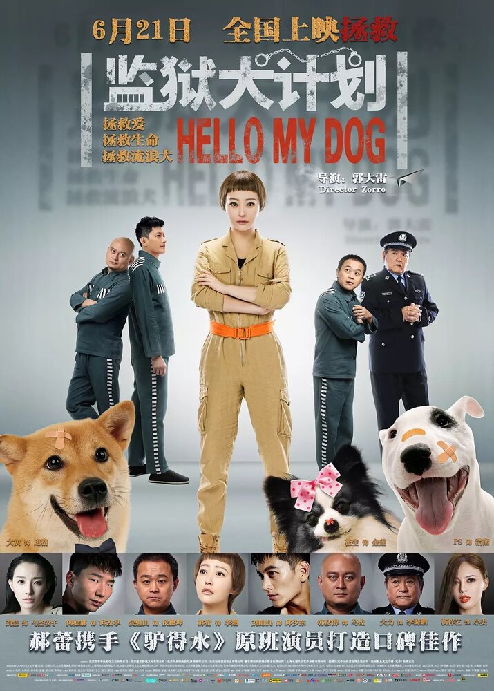 Привет, собака (2018) постер