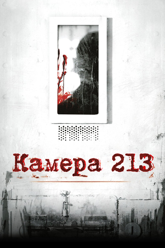 Камера 213 (2011) постер