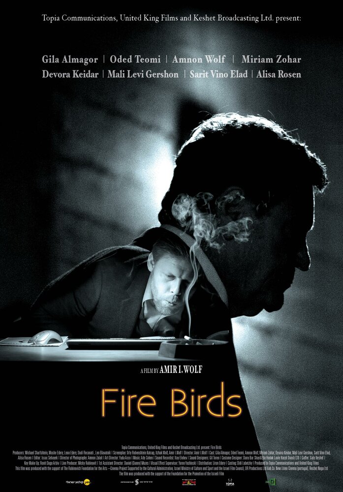 Огненные птицы (2015) постер