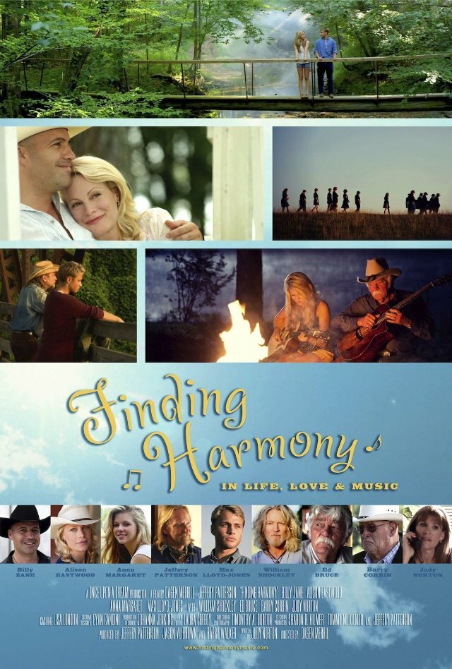 Поиски гармонии (2014) постер