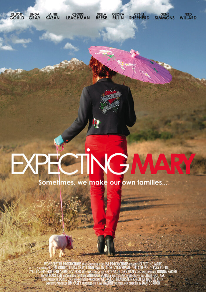 Надежды и ожидания Мэри (2010) постер