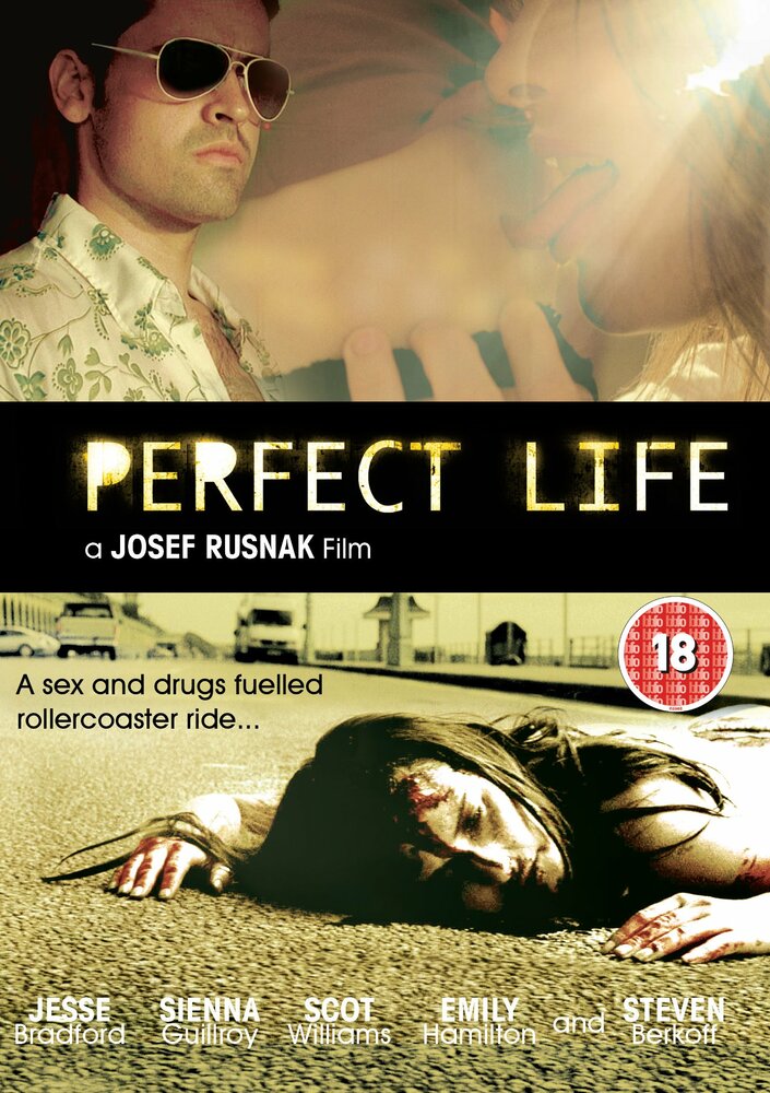 Идеальная жизнь (2010) постер