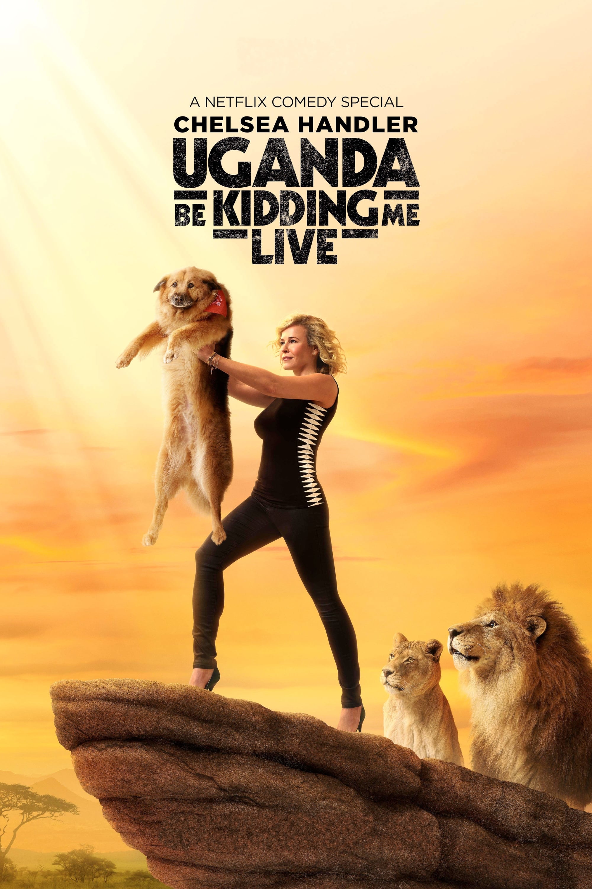 Uganda Be Kidding Me Live (2014) постер