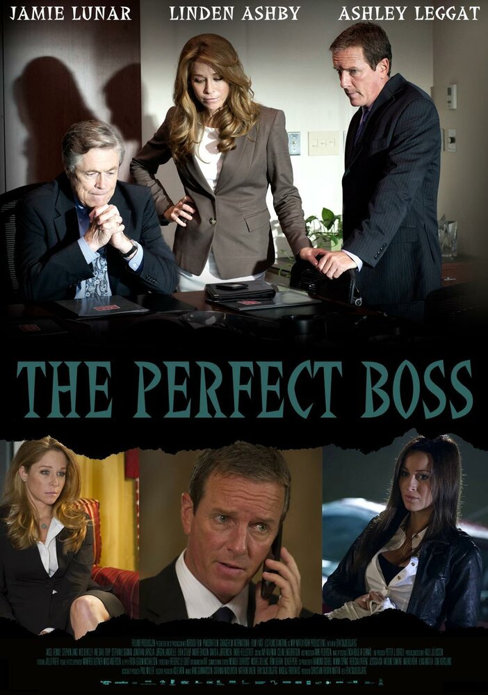 Идеальный босс (2013) постер