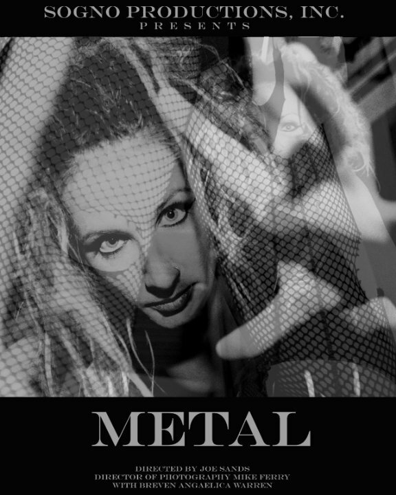 Metal (2008) постер