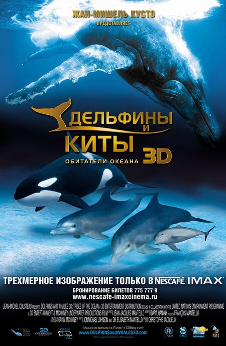 Дельфины и киты 3D (2008) постер