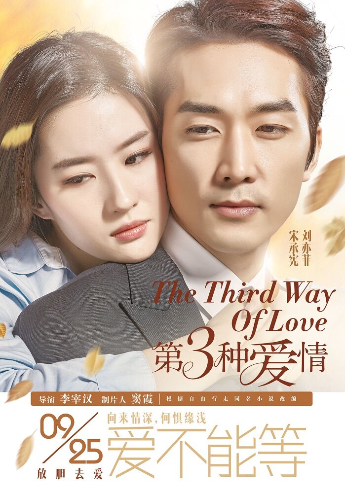 Третий вид любви (2015) постер