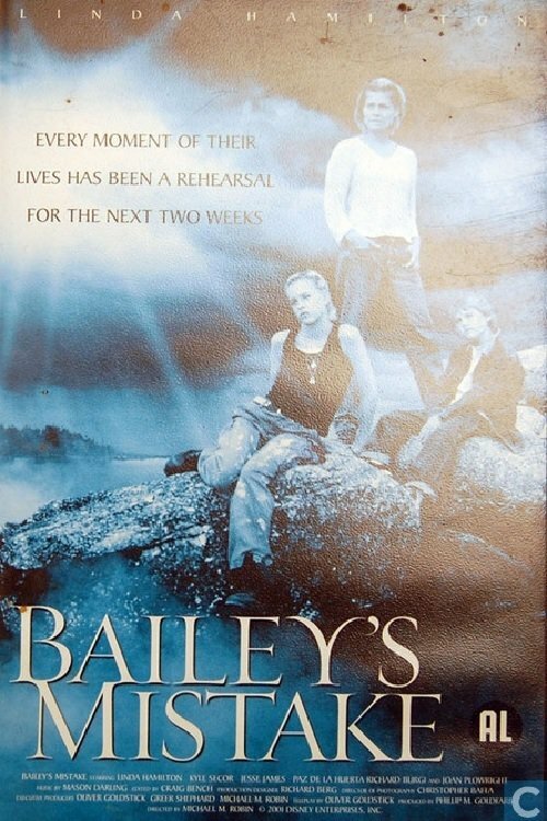 Ошибка Бэйли (2001) постер