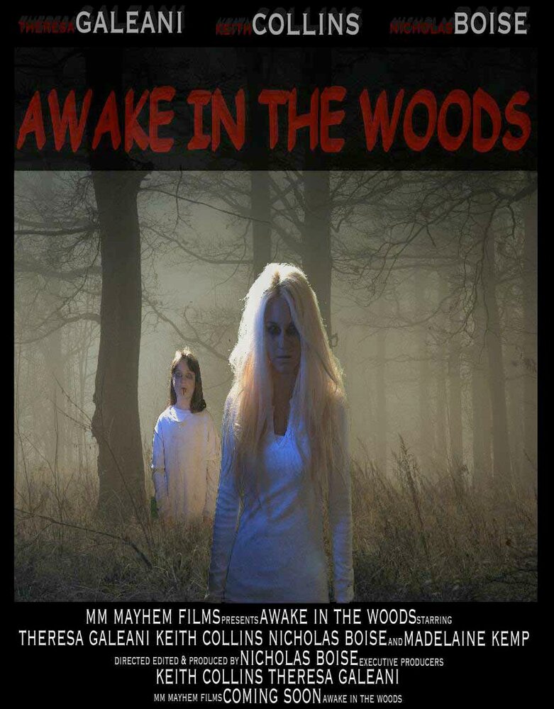 Awake in the Woods (2015) постер
