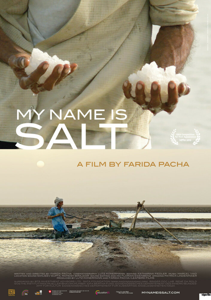 Имя мне соль (2013) постер