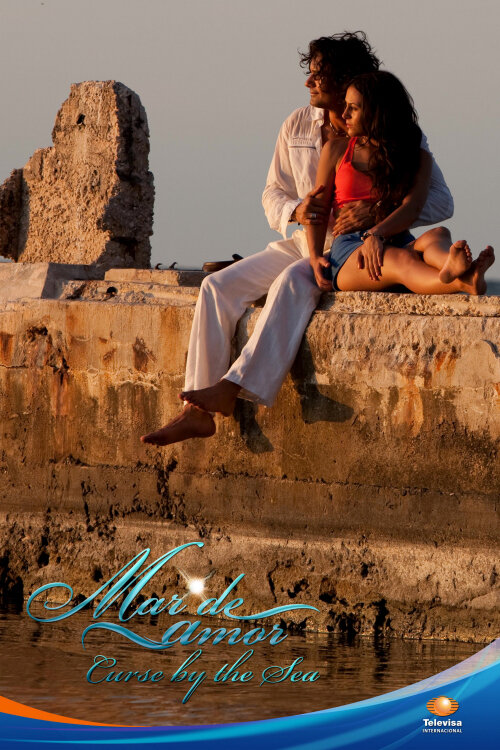 Море любви (2009) постер