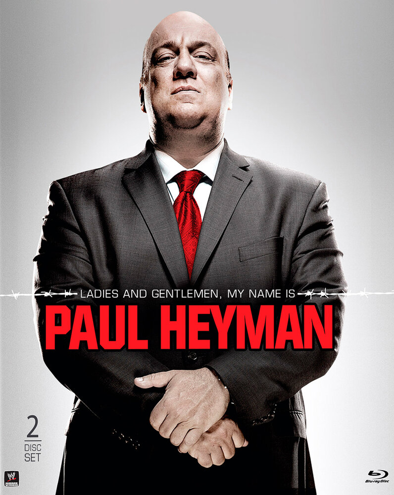 Леди и джентльмены, меня зовут Пол Хейман (2014) постер