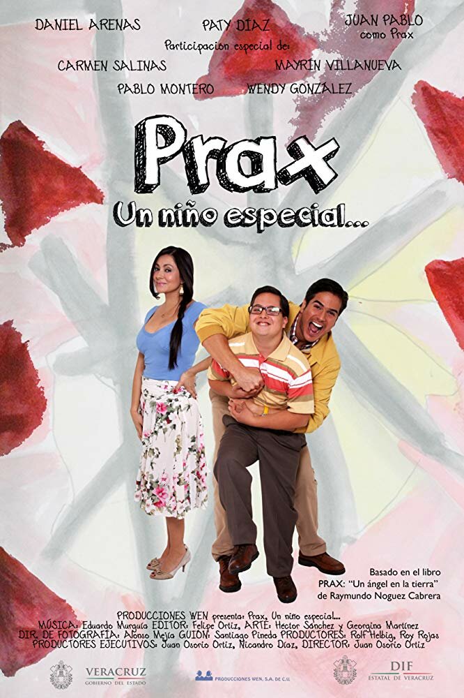 Prax: un niño especial (2014) постер