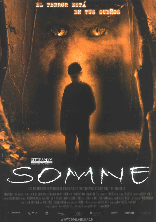 Somne (2005) постер