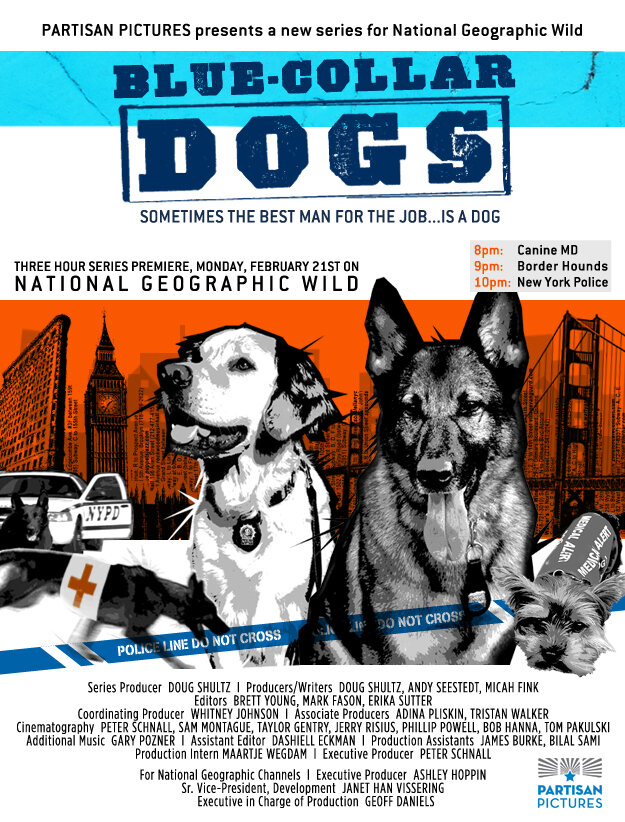 Собаки на службе (2011) постер