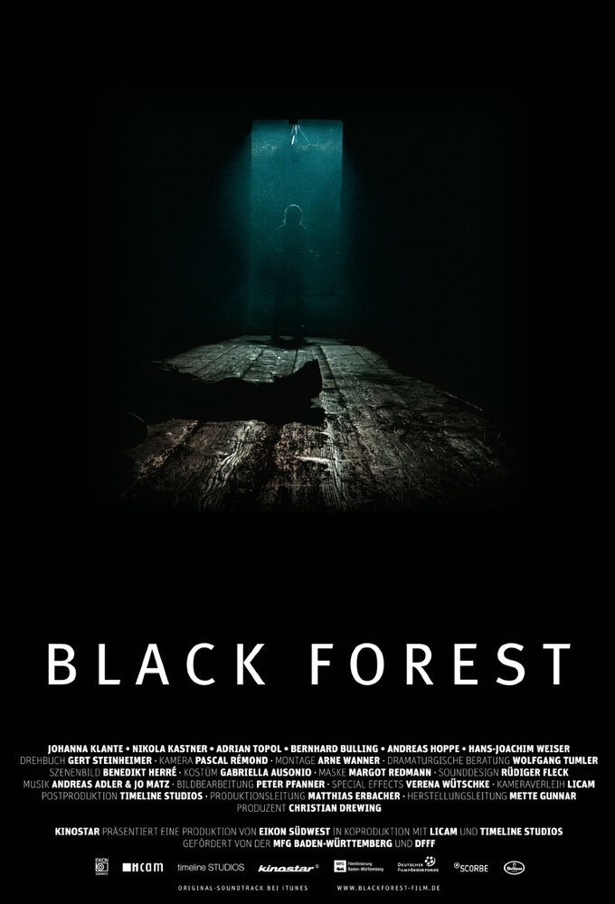 Темный лес (2010) постер