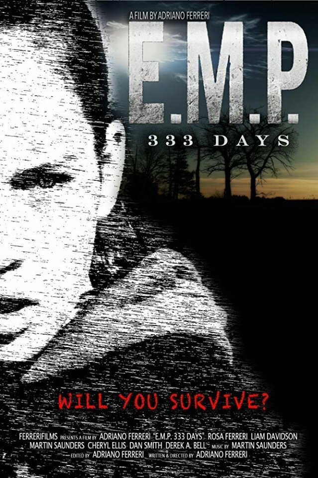E.M.P. 333 Days (2018) постер