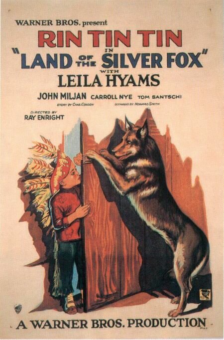 Land of the Silver Fox (1928) постер