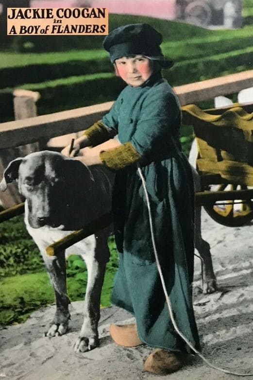 Фламандский мальчик (1924) постер