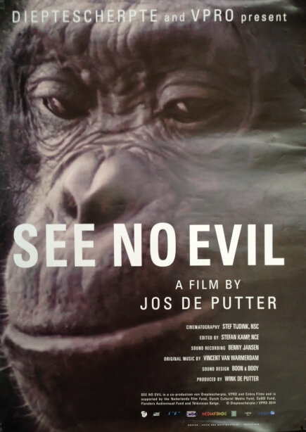 Не вижу зла (2014) постер