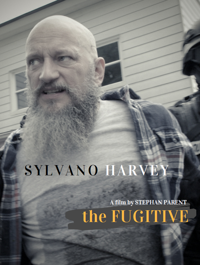 The fugitive (2020) постер