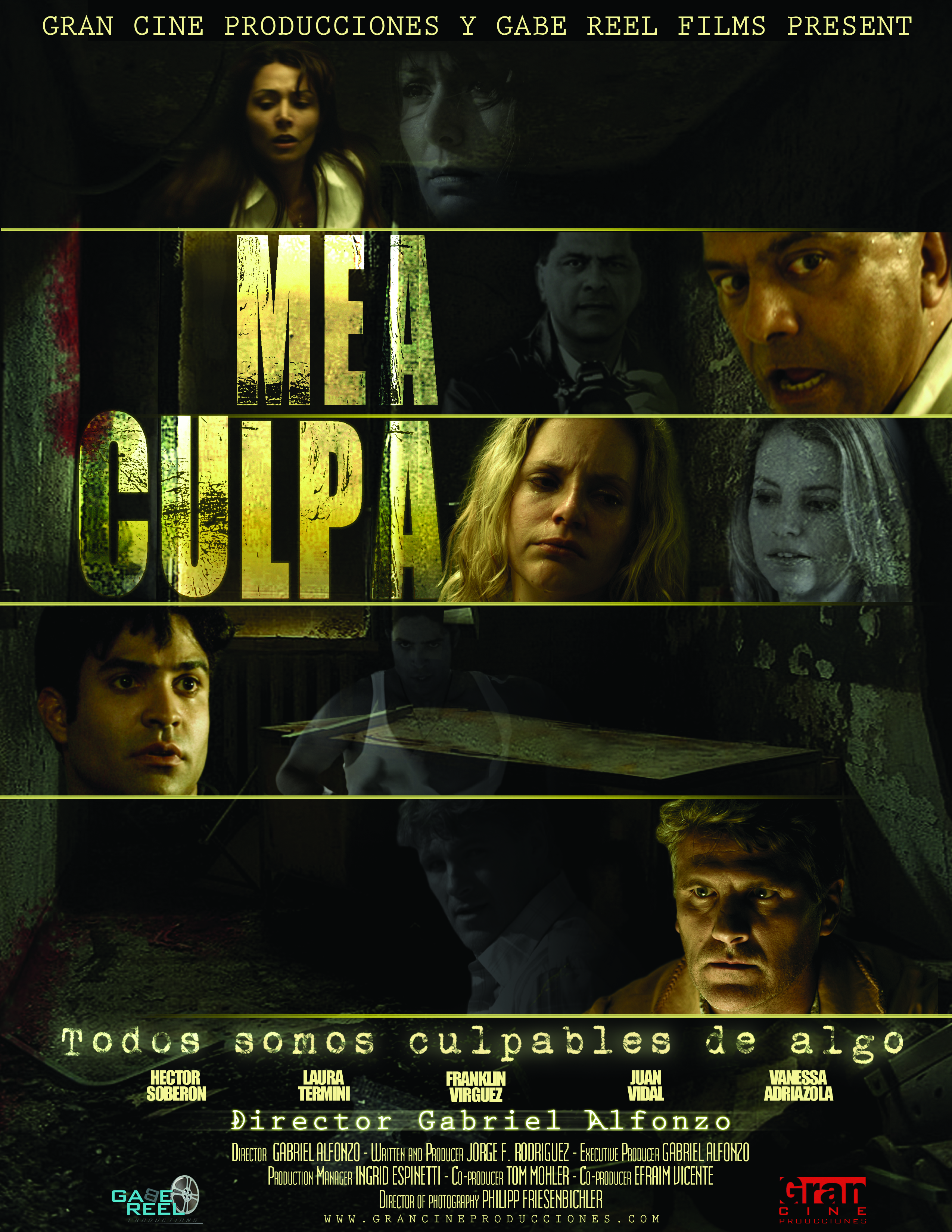 Моя вина (2008) постер