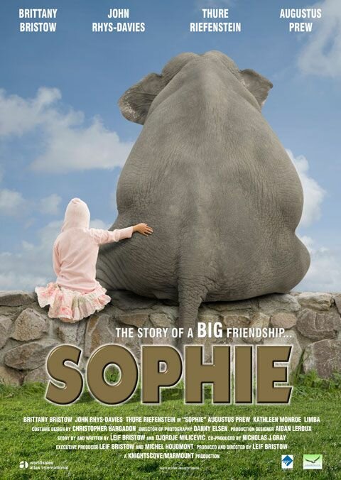 Софи (2010) постер
