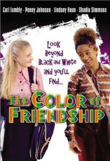 Все цвета дружбы (2000) постер