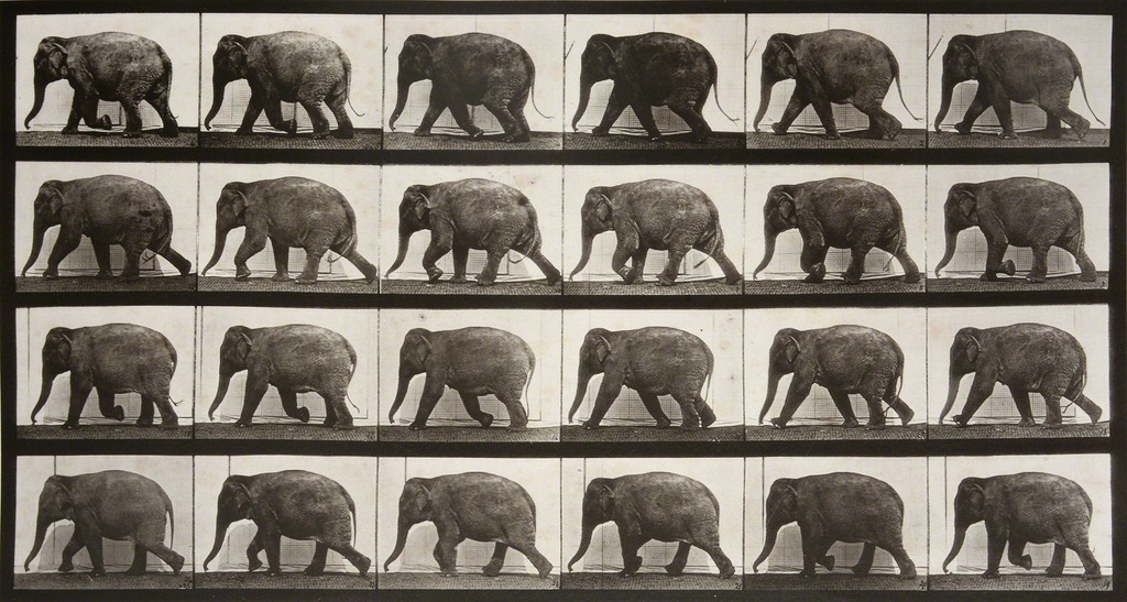 Elephant Walking (1887) постер