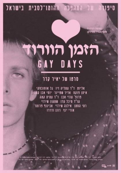 Гей-дни (2009) постер
