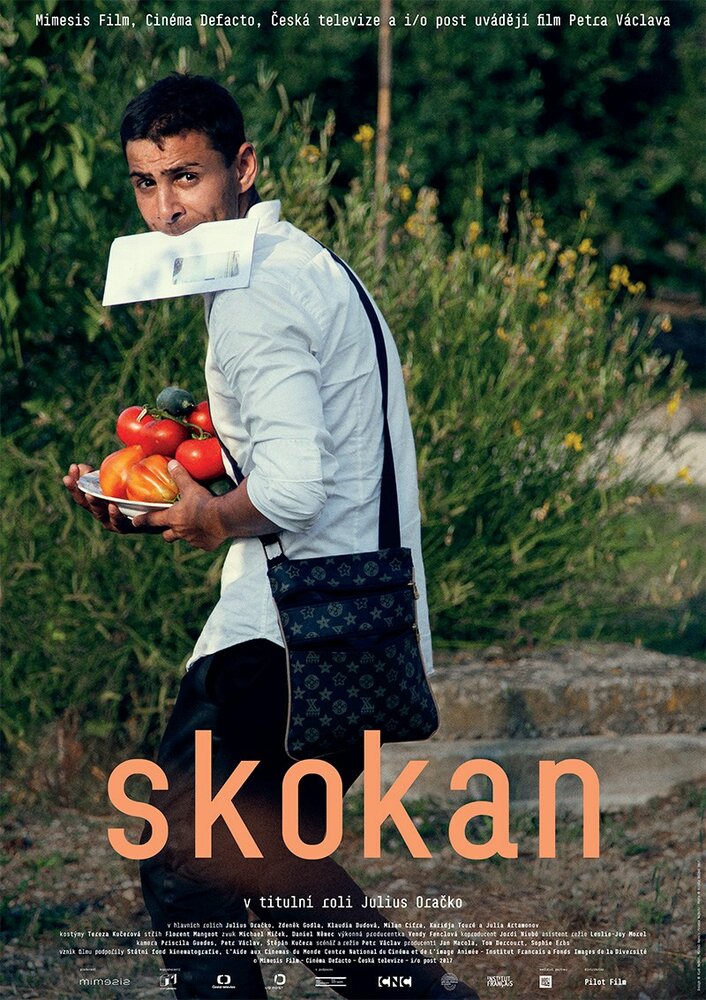Skokan (2017) постер