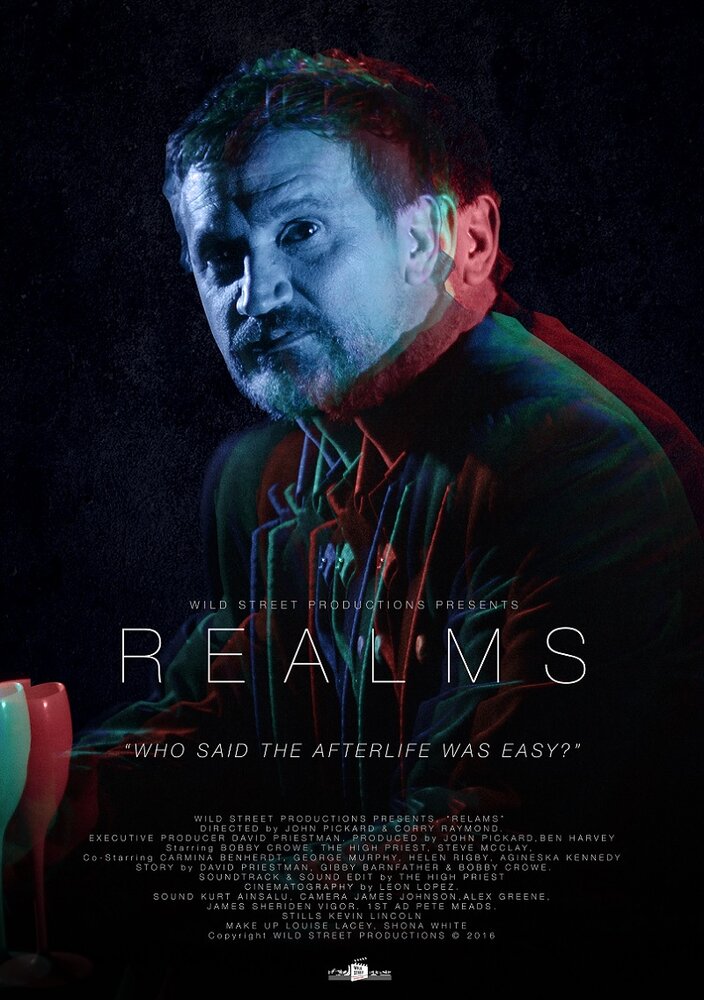 Realms (2016) постер