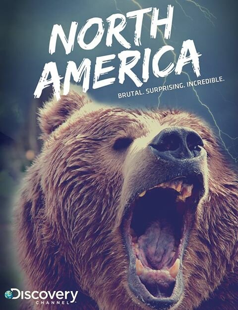 Discovery: Северная Америка (2013) постер