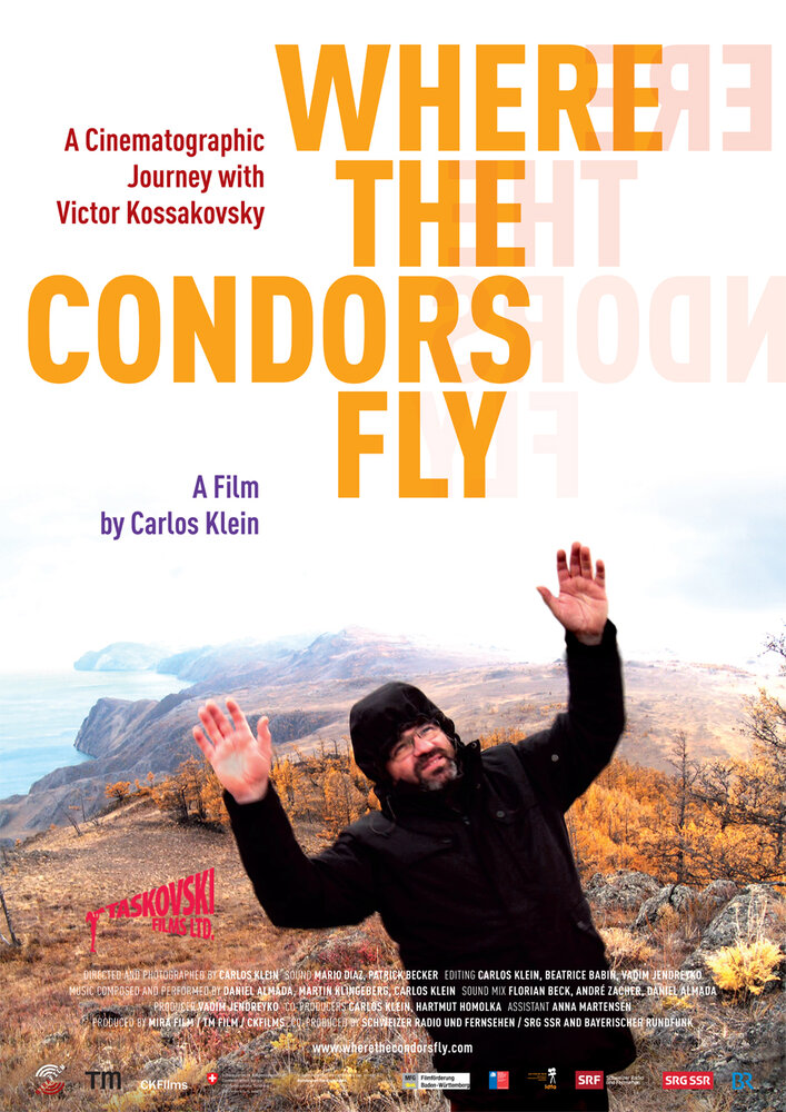 Там, где летают кондоры (2012) постер