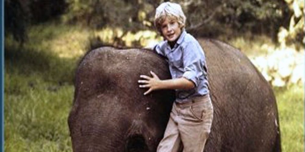 The Boy Who Stole the Elephant (1970) постер