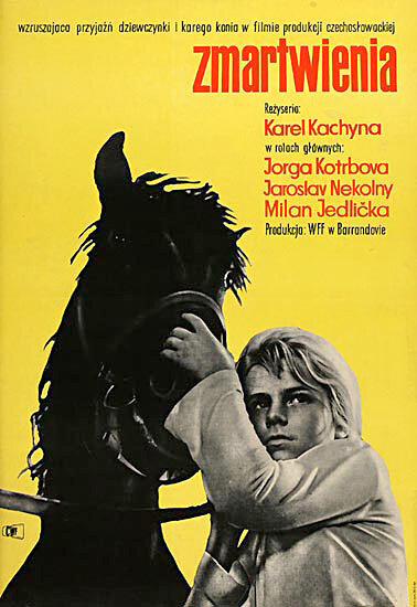 Терзания (1961) постер